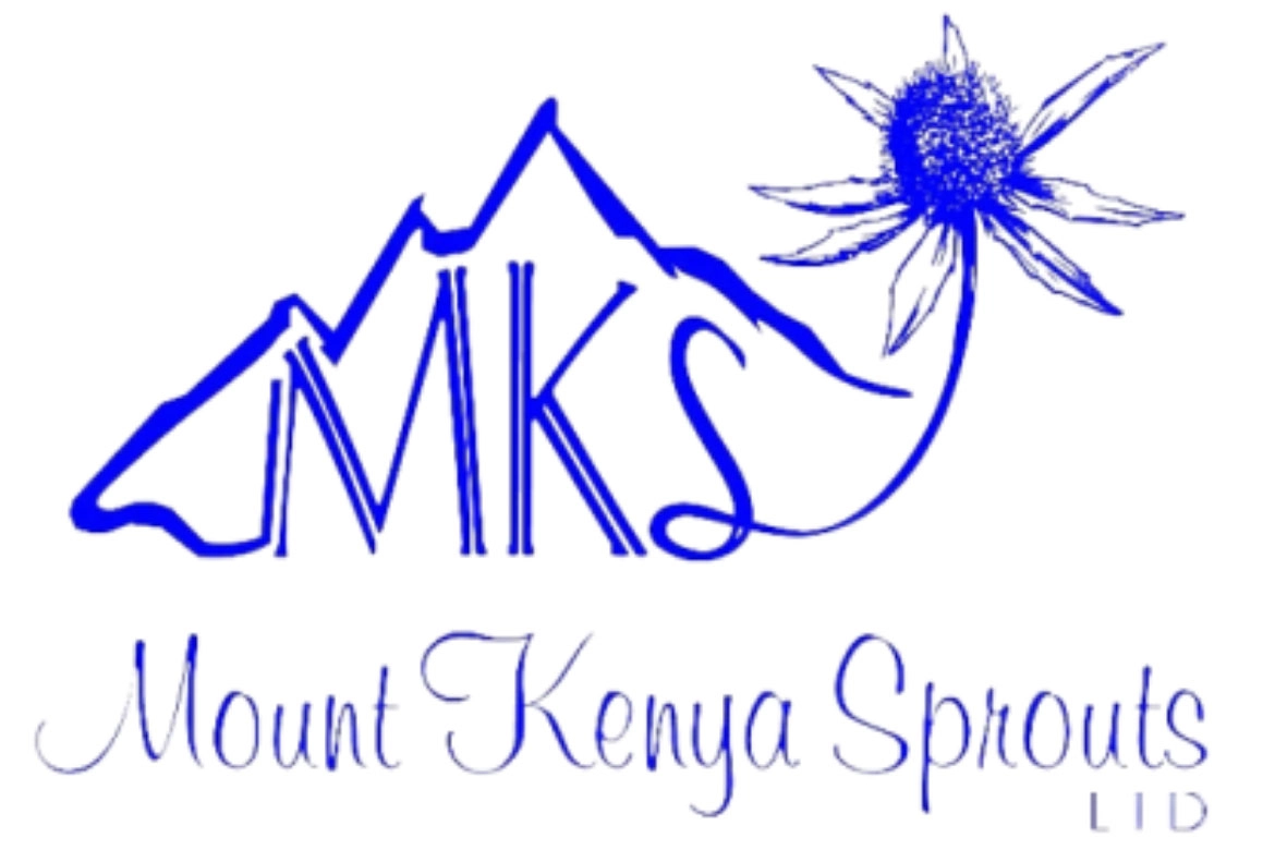 Home 52 Mt. Kenya Sprouts